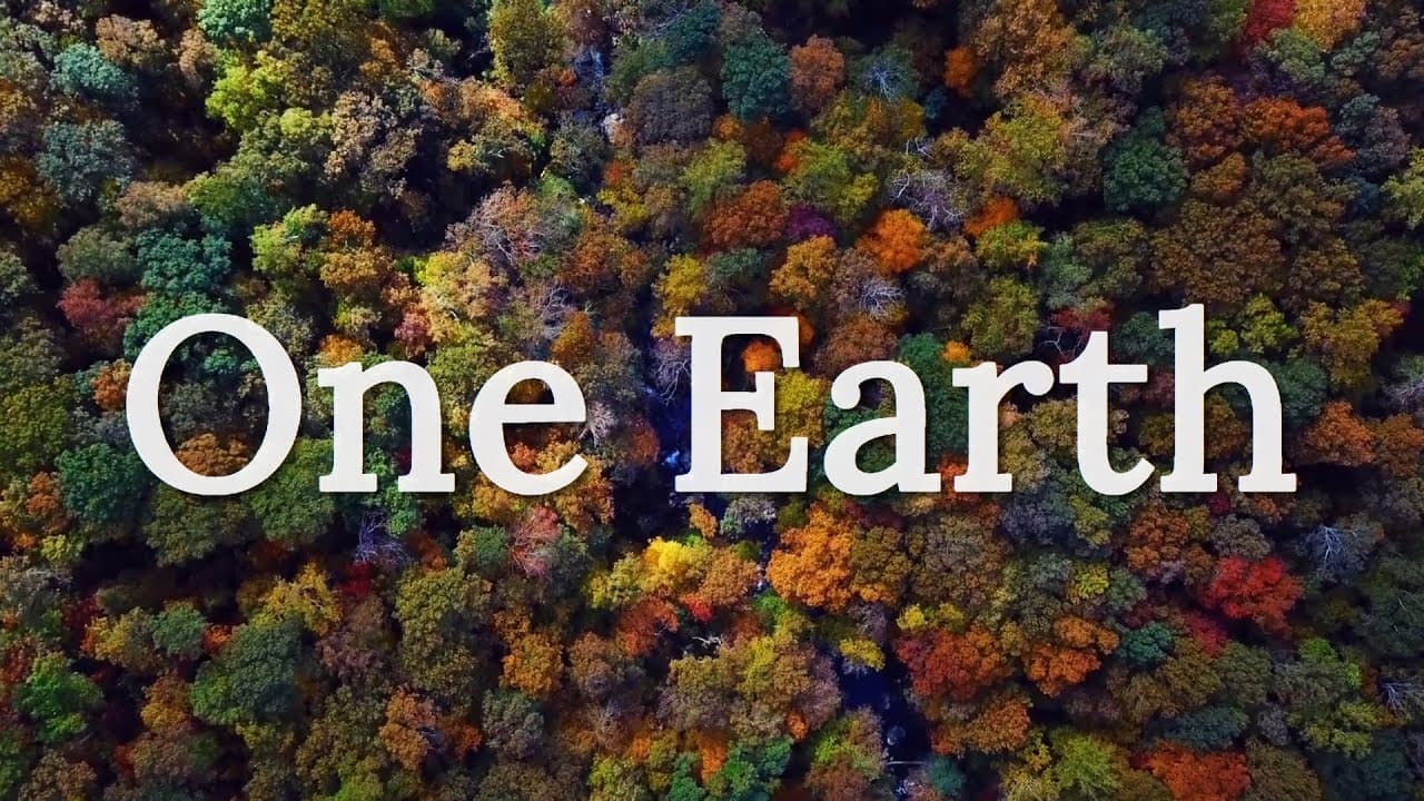 فيديو توضيحي للمنتج